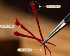 正品藏红花品牌推荐：十款正规渠道可查、防伪体系完善的品牌榜单